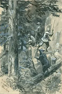 Bear in Kashmir