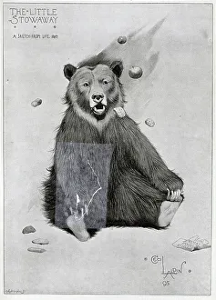 Thrown Prints: Bear, The Little Stowaway, illustration by Cecil Aldin