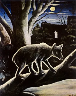 Moonlit Gallery: Bear on a Moonlit Night Date: 1910