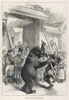 Engage Prints: Bear Performs Fight