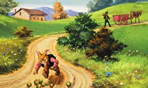 Images Dated 2nd August 2006: Bear Rabbit