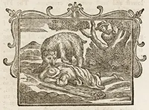 Bear and the Travellers