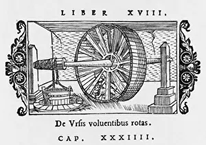Bear Turns Wheel / Olaus