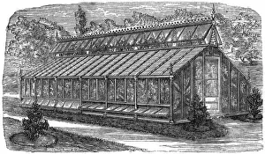 Growing Prints: Beards greenhouse