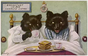 Bears Breakfast in Bed