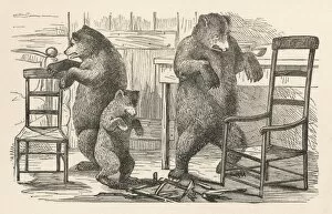 Fin D Collection: Bears Find the Chairs