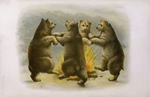 Bears Dance Around Fire