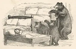 Fin D Prints: Bears Find Goldilocks