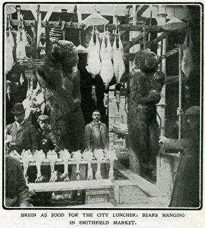 Bear Collection: Bears hanging in Smithfield market 1906