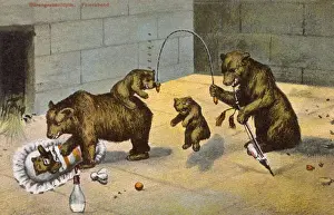 Captivity Prints: Bears playing in their enclosure
