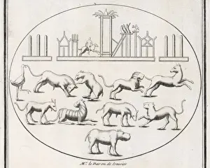 Beasts in Roman Arena