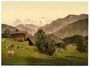 Beatenburg (i. e. Beatenberg), view of Jungfrau, Monch and E