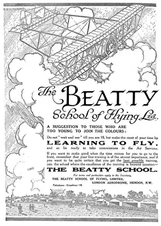 Beatty Prints: The Beatty School Of Flying