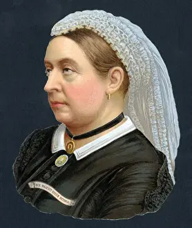 Stern Prints: A beautiful and highly-detailed chromolithograph scrap portrait of Victoria (1819-1901)
