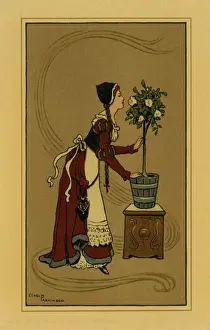 Beautiful medaeval lady