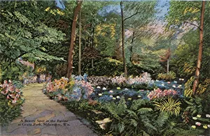 Folder Prints: Beauty spot in the Ravine at Grant Park, Milwaukee, Wisconsin, USA Date: circa 1940