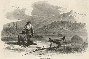 Beaver Hunting / America