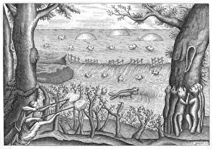 Beavers, 18th Century