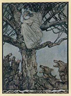 Becfola climbs a tree to escape a pack of wolves