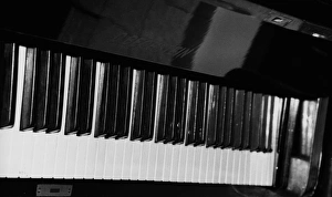 Bechstein Piano Keyboard
