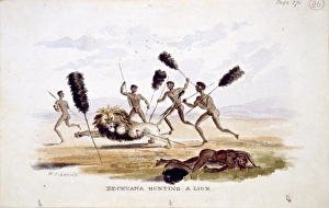 Bechuana Hunting a Lion (Plate 35/36) Bechuana Hunting a Lion (Plate 35/36)