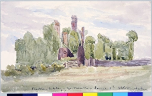 Images Dated 23rd December 2010: Bective Abbey, Co. Meath