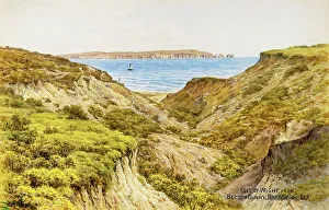 Becton Bunny, Barton on Sea, Hampshire