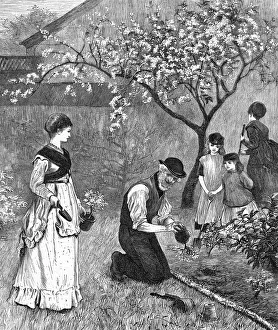 Trowel Prints: Bedding out in June 1870