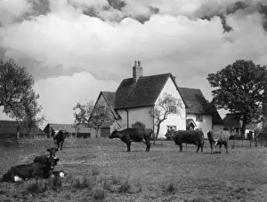 Farm House Prints: Bedfordshire Farmhouse