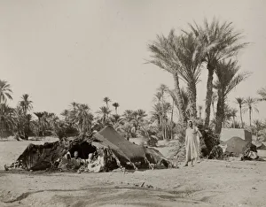 Bedouin camp, Biskra, Algeria Bedouin camp, Biskra, Algeria