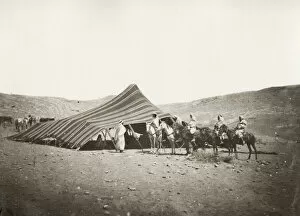 Bedouin camp in the desrt, North Africa, Algeria