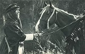Steed Collection: A Bedouin Guard with his trusty steed