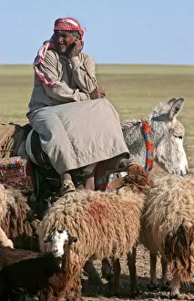 A Bedouin shepherd in Syria sitting sideways on donkey