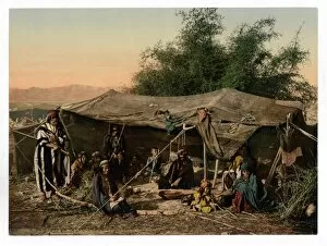 Occupants Collection: Bedouin tents and occupants, Holy Land