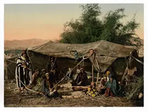 Occupants Prints: Bedouin tents and occupants, Holy Land