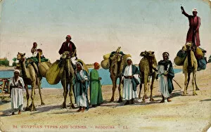 Desert Collection: Bedouins and camels in the desert, Egypt