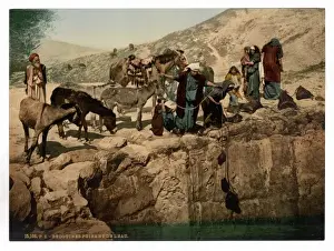 Bedouins Prints: Bedouins drawing water, Holy Land