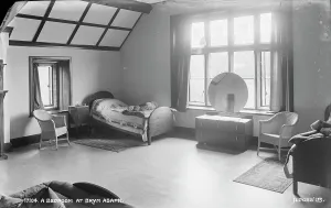 Spacious Prints: A Bedroom at Bryn Asaph