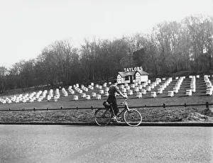 Admire Gallery: Bee Hives Near Welwyn