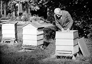 Bee keeper