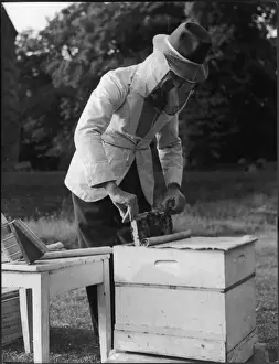 BEE KEEPER