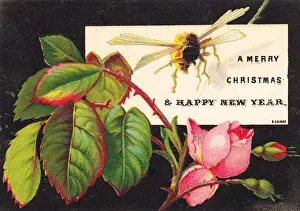 Bee and pink rose on a Christmas card