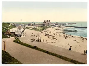 Beech Prints: Beech i. e. Beach Gardens, Gorleston, England