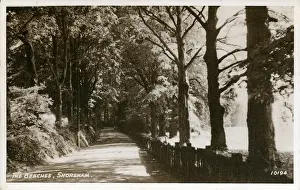 Sevenoaks Prints: The Beeches, Shoreham, Kent