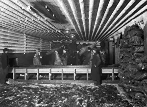 Freezer Prints: Beef for Export / 1930S