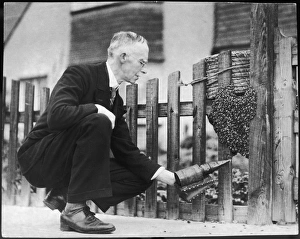 Apiary Gallery: Beehive on a Gatepost