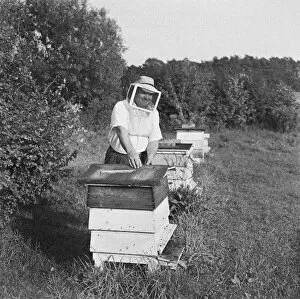 Images Dated 4th December 2009: Beekeeper, Shropshire
