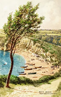 Beer Beach from White Cliff Path, Beer, East Devon