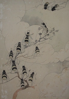 Images Dated 2006 June: 28 Jun 2006 Collection