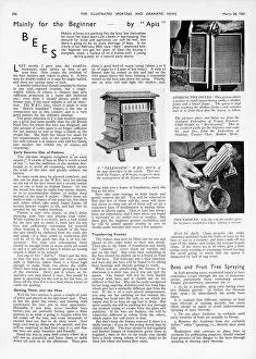 Images Dated 28th January 2020: Bees, mainly for the beginner, 1941